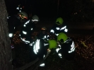 20200707_technischer_Einsatz_Offenegg_5