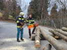 20250223_Winterschulung_4
