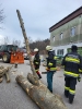 20250223_Winterschulung_6