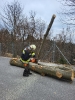 20250223_Winterschulung_7